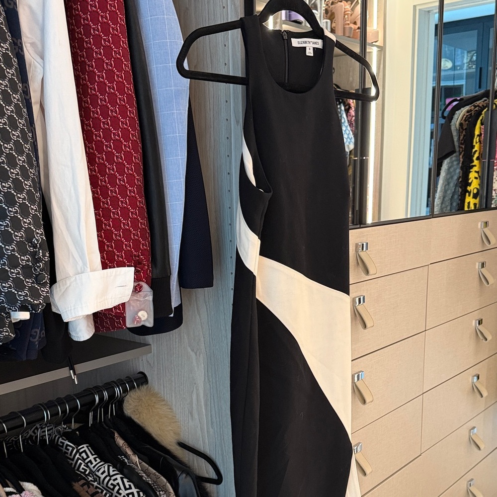 Elizabeth and James Black and White Midi Dress
